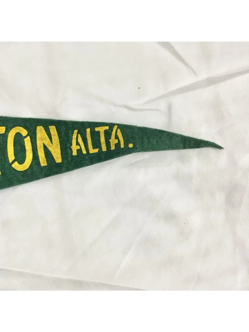 Vintage Cardston Alberta Canada Felt Pennant Deer Souvenir Travel Banner 18”